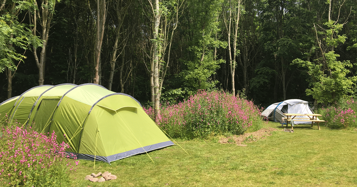 Last-Minute May Bank Holiday Getaway at New Farm Holidays – Glamping in Lincolnshire